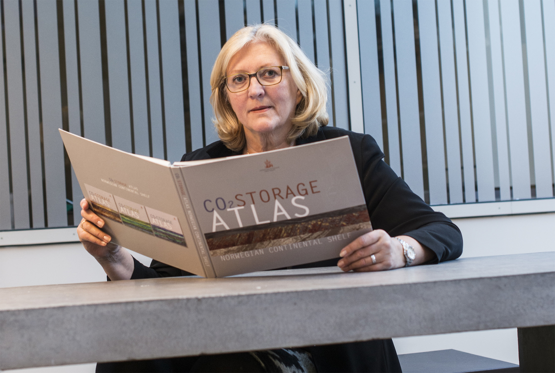 Eva Halland has a geology degree from the University of Bergen and joined the NPD in 1984. She has many years of experience in the CO2 discipline.